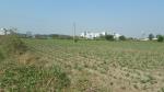 2 Acre Land for Sale in Nawanshahr